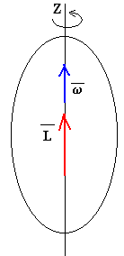 Semejanzas Y Diferencias Entre Velocidad Angular Y Velocidad Lineal